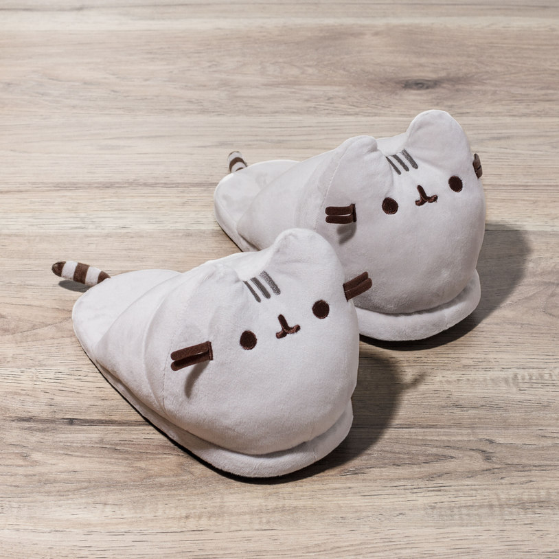 Pusheen Slippers